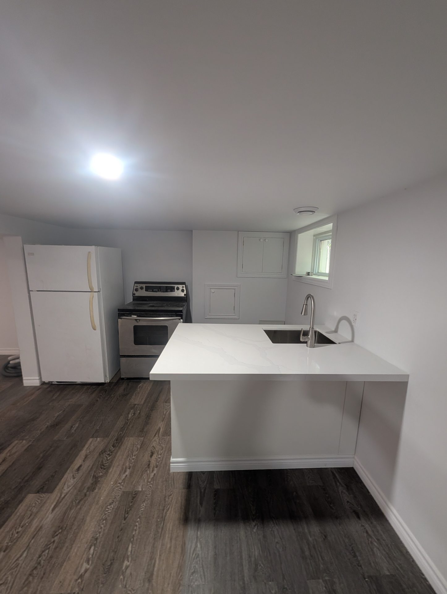 Basement Kitchen